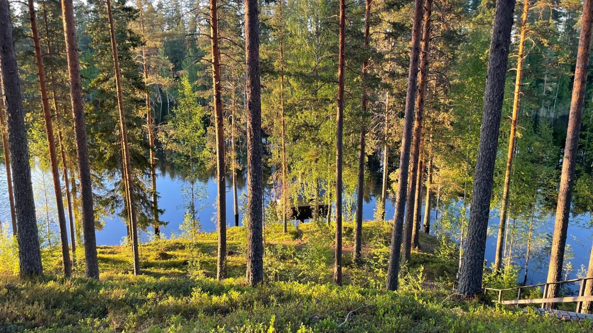 Ahvenlampi Camping Saarijärvi المظهر الخارجي الصورة