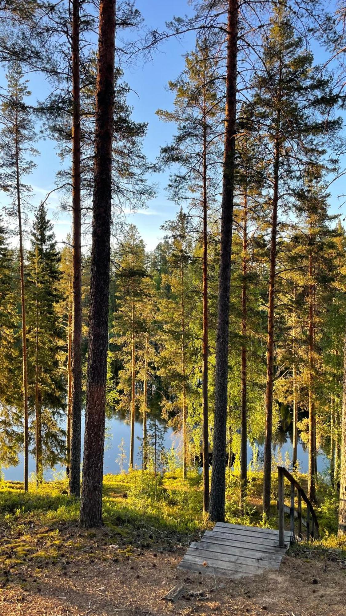 Ahvenlampi Camping Saarijärvi المظهر الخارجي الصورة