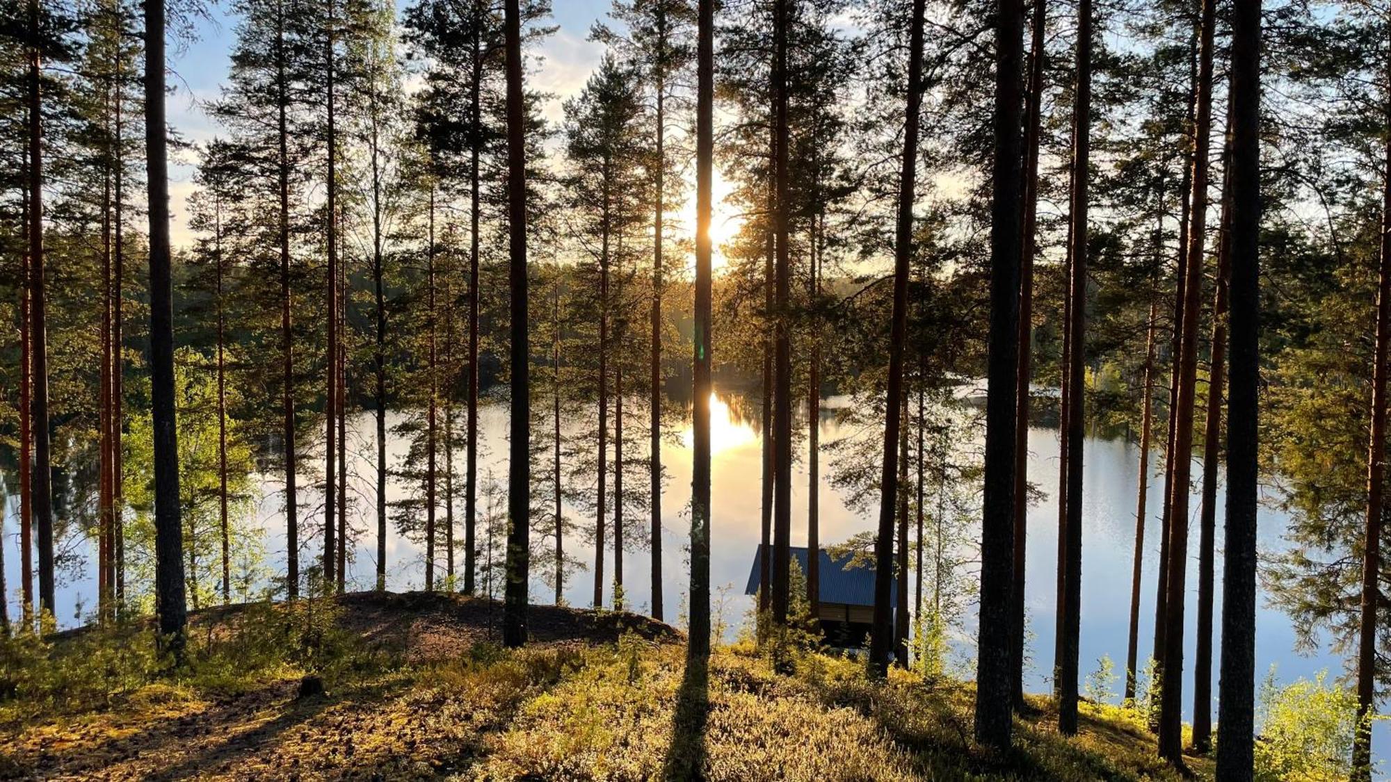 Ahvenlampi Camping Saarijärvi المظهر الخارجي الصورة