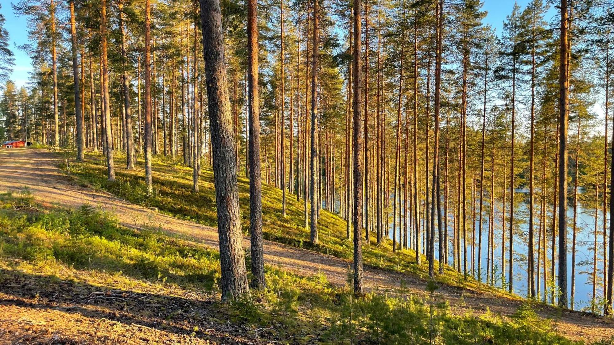 Ahvenlampi Camping Saarijärvi المظهر الخارجي الصورة