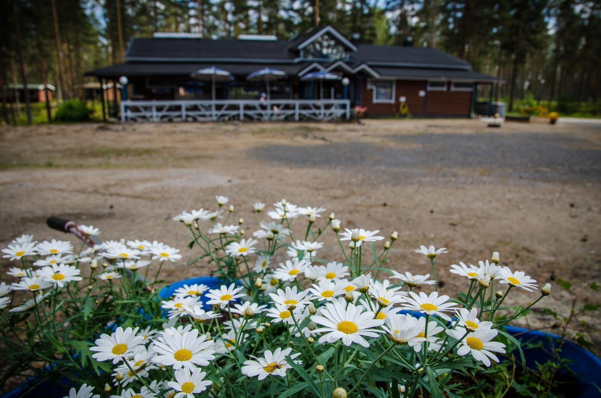 Ahvenlampi Camping Saarijärvi المظهر الخارجي الصورة