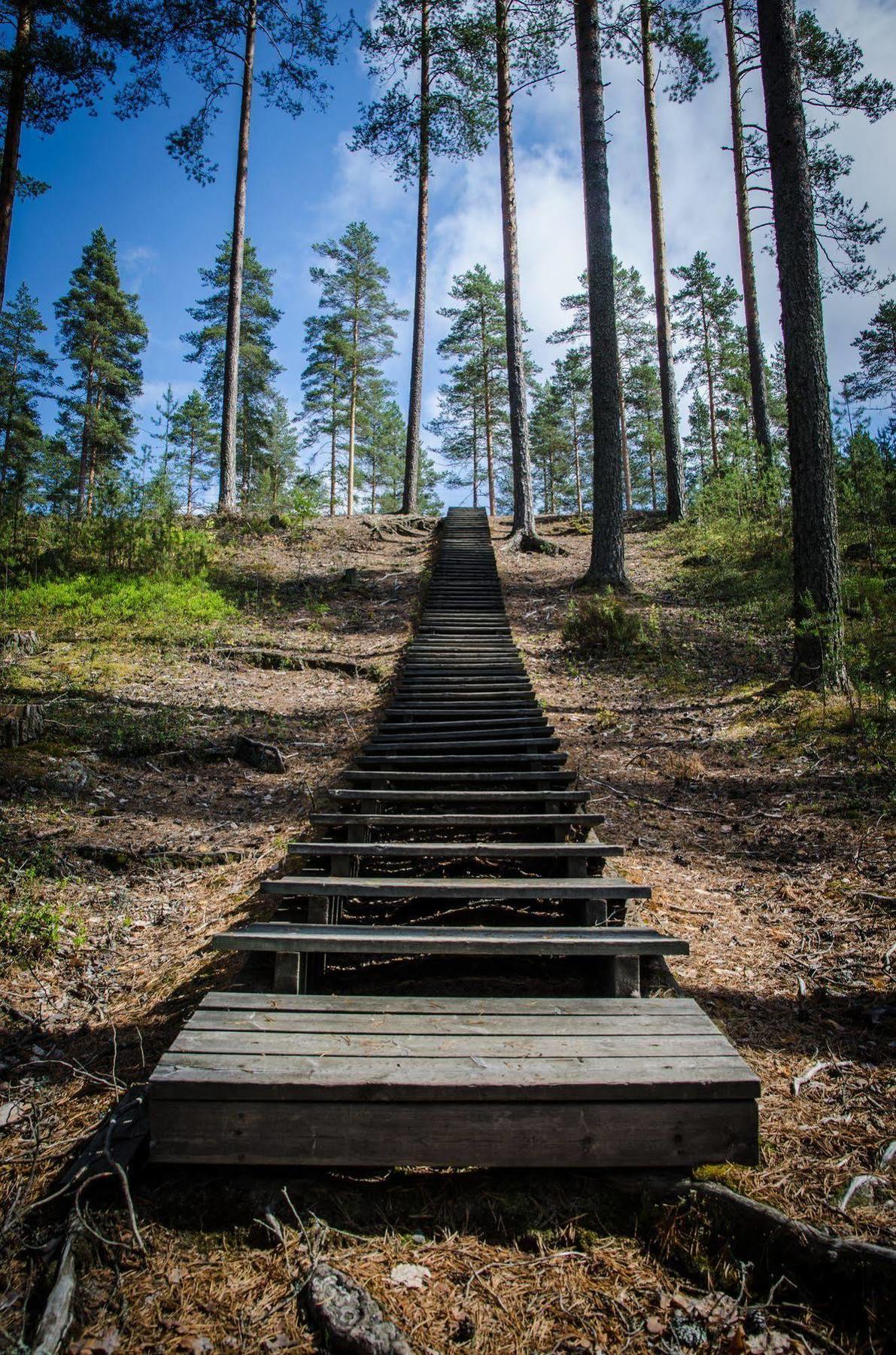 Ahvenlampi Camping Saarijärvi المظهر الخارجي الصورة
